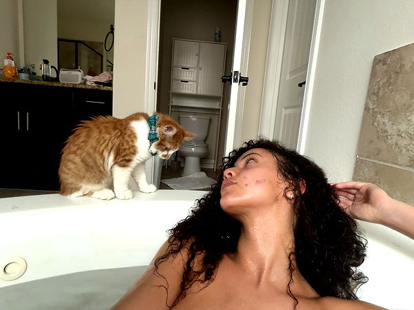 mbeeco image ~ Altpins