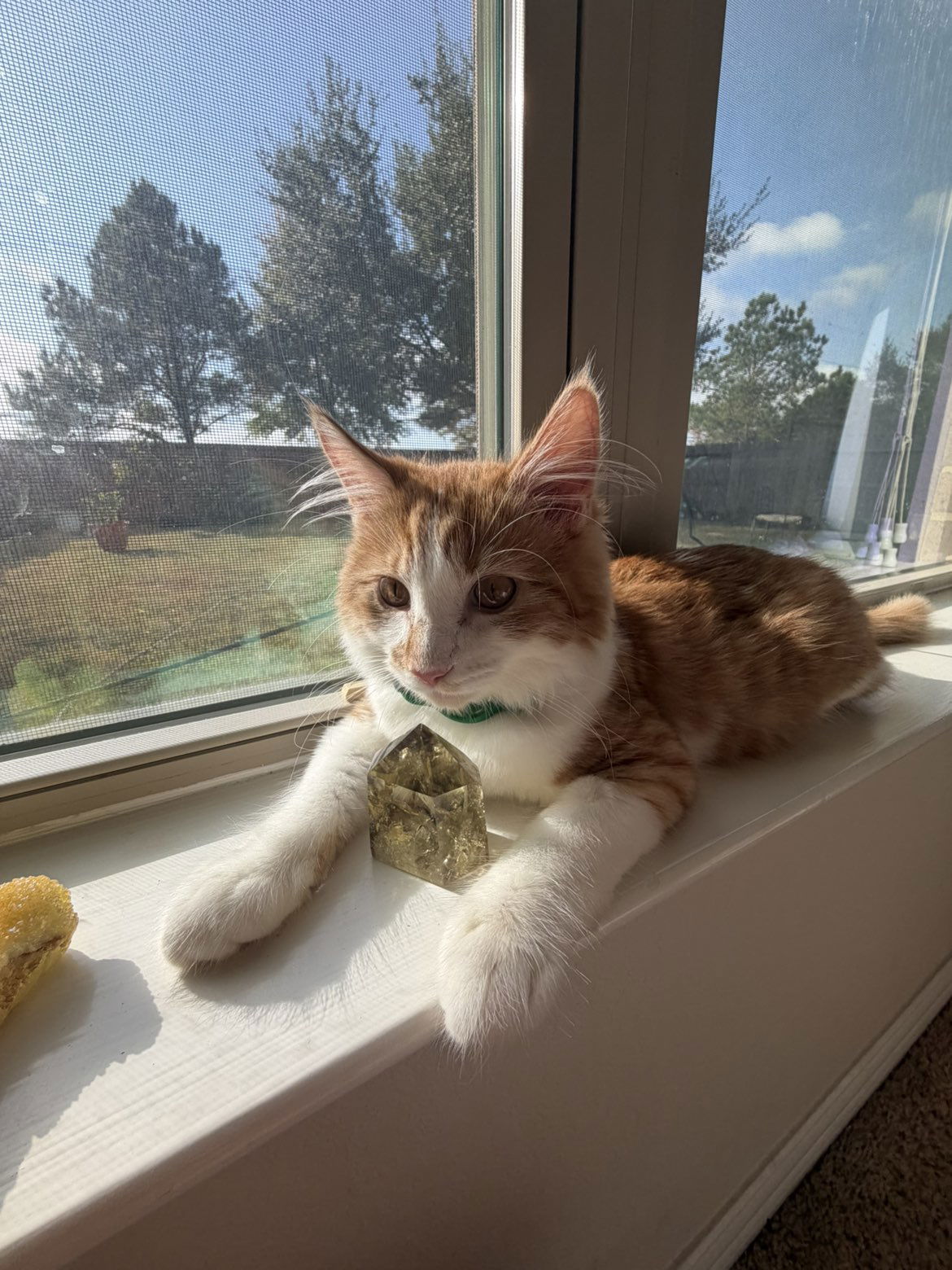 mbeeco snapchat image archive image