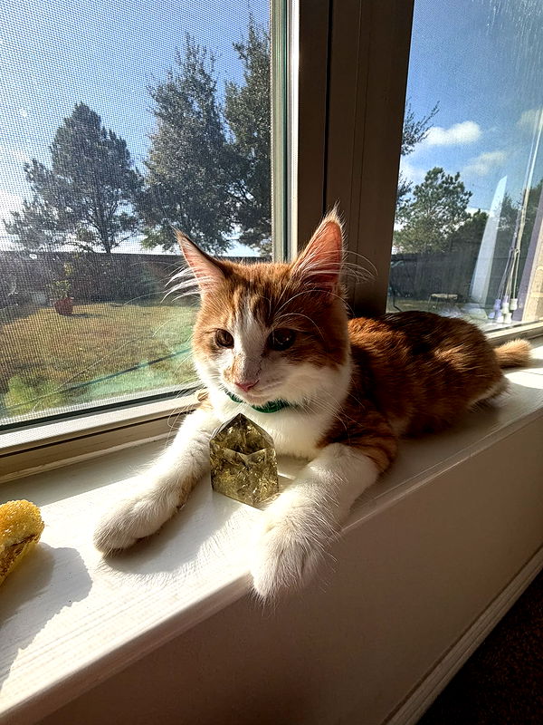 mbeeco image ~ Altpins