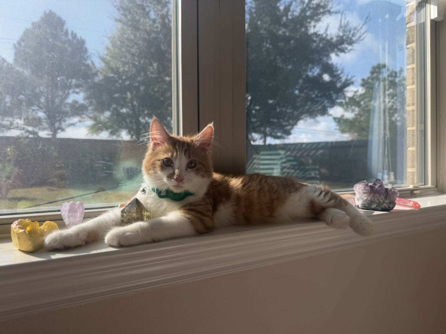 mbeeco snapchat image archive image