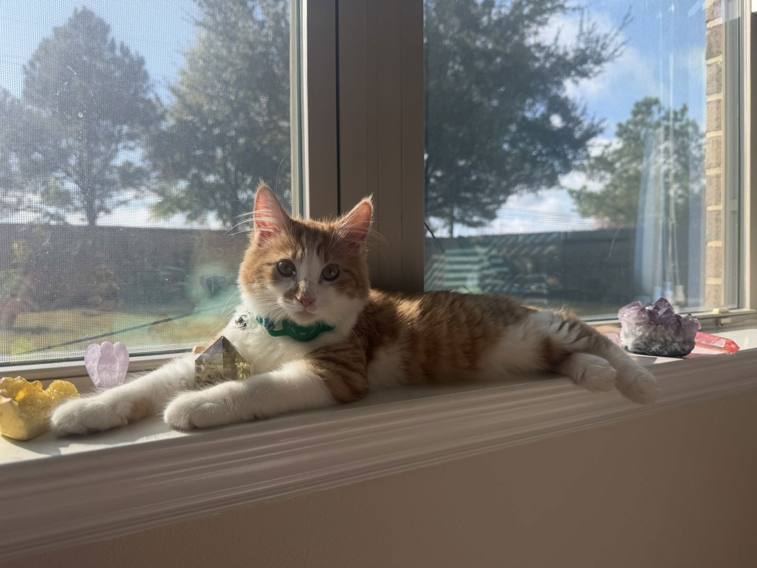 mbeeco snapchat image archive image