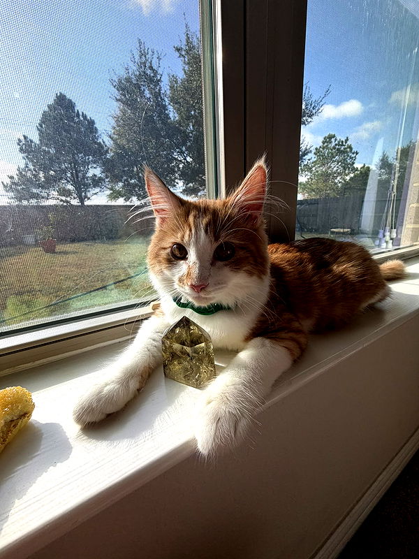 mbeeco image ~ Altpins