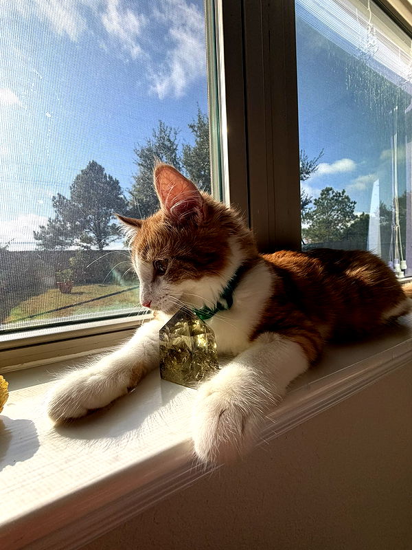 mbeeco image ~ Altpins