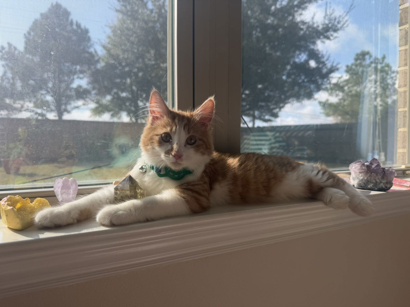 mbeeco snapchat image archive image