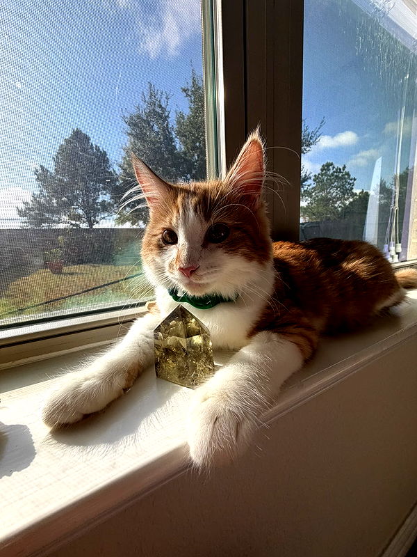 mbeeco image ~ Altpins