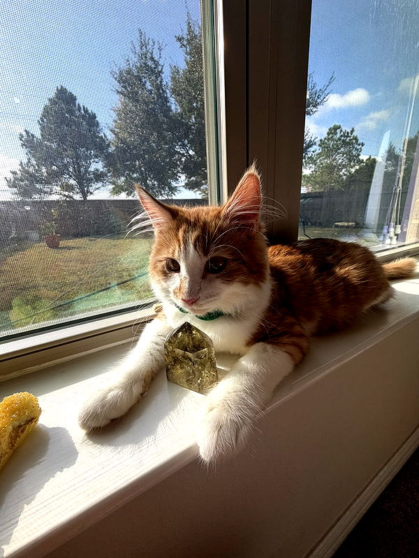 mbeeco image ~ Altpins