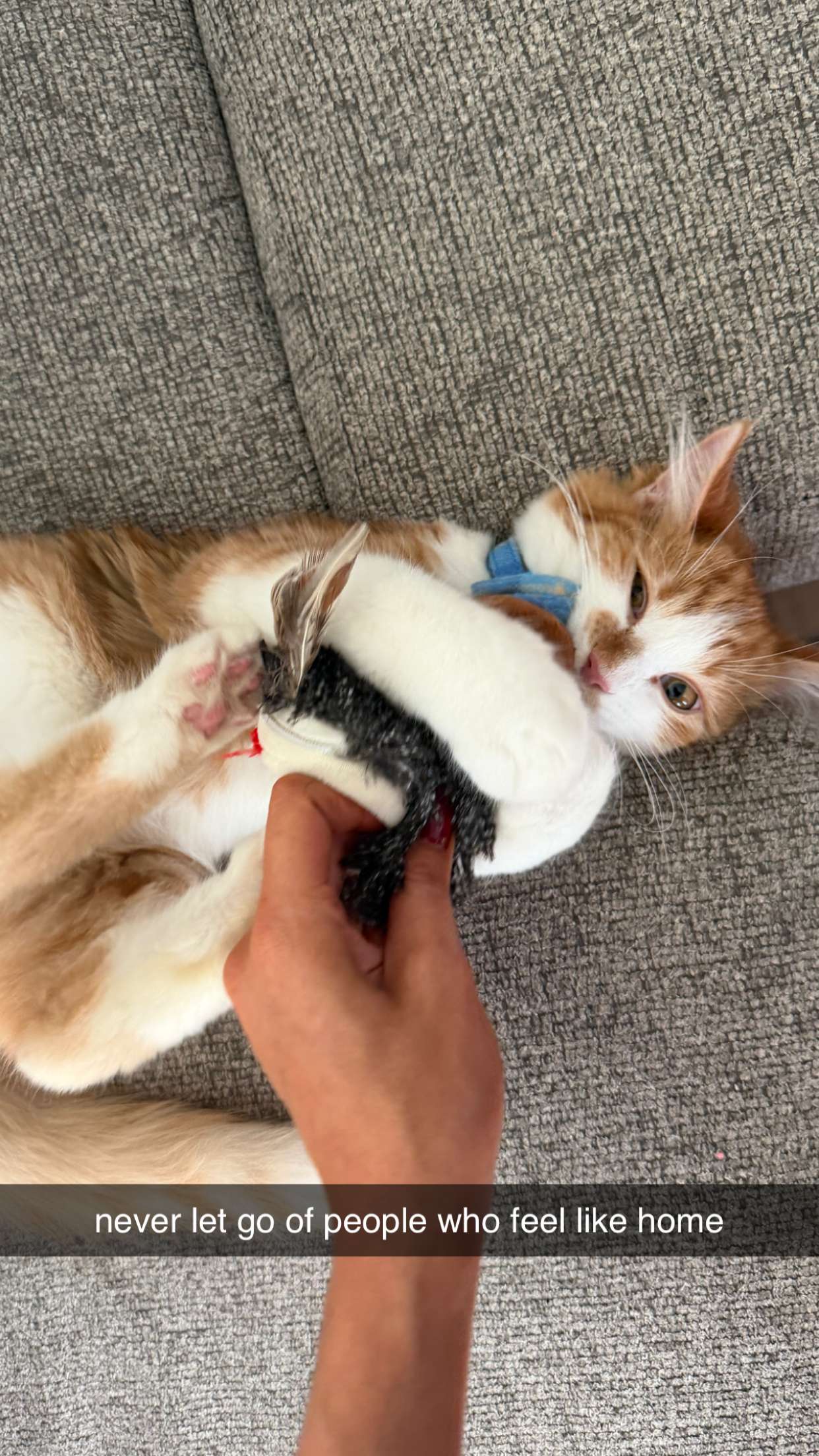 mbeeco snapchat image archive image