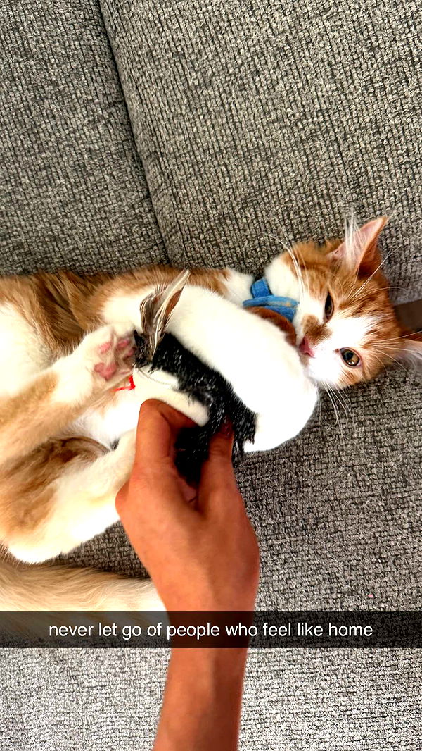 mbeeco image ~ Altpins