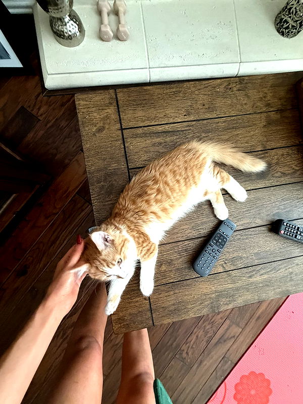 mbeeco image ~ Altpins