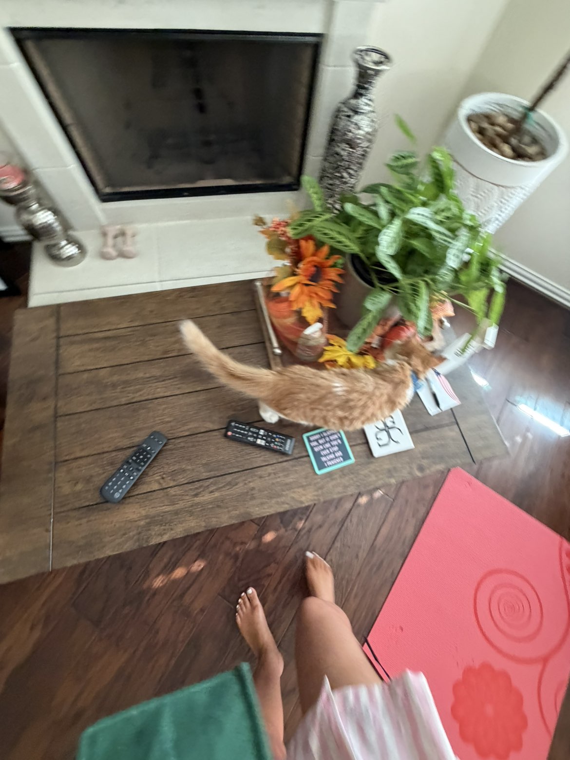 mbeeco snapchat image archive image