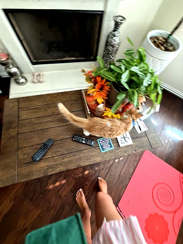 mbeeco image ~ Altpins