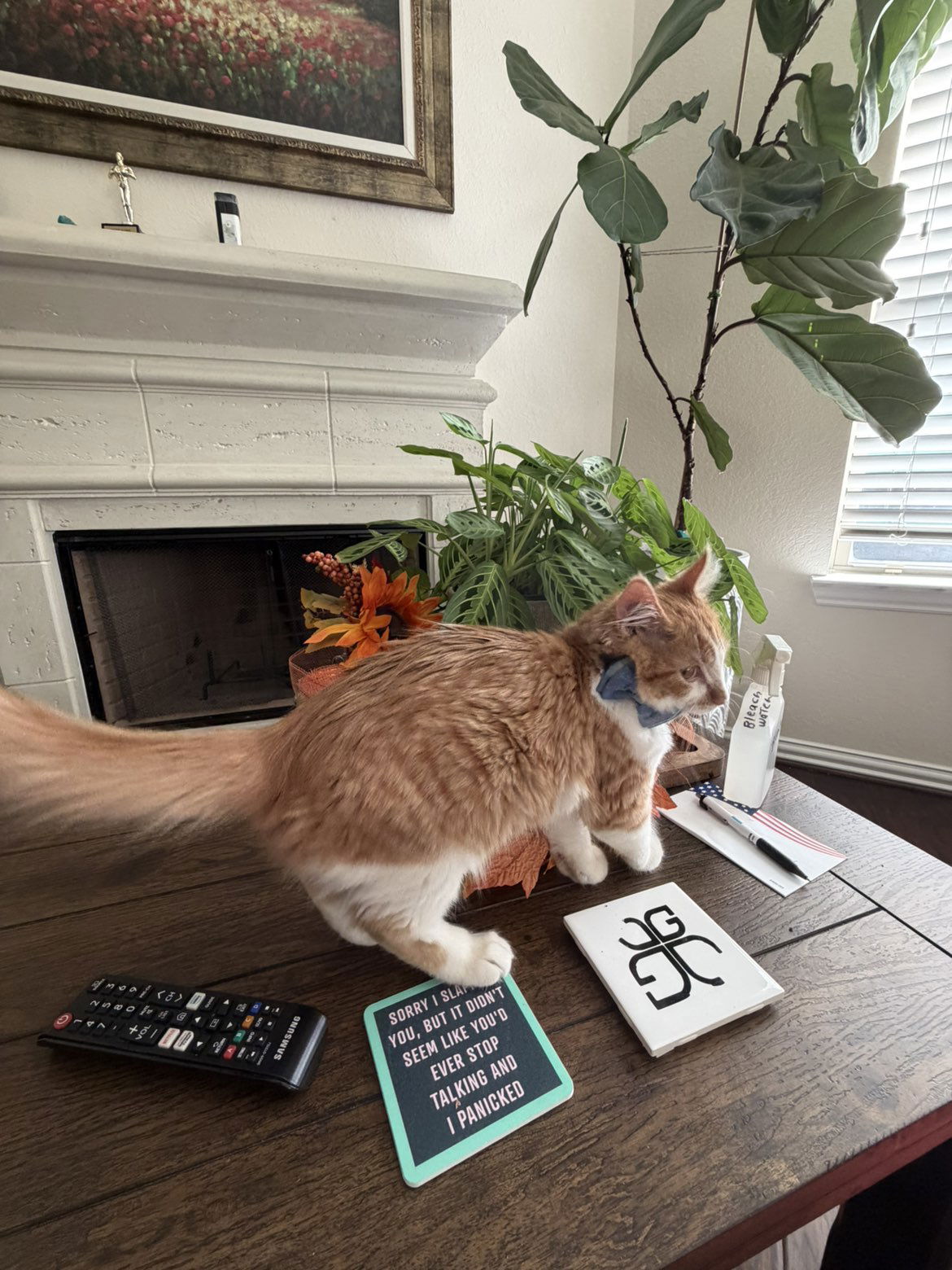 mbeeco snapchat image archive image