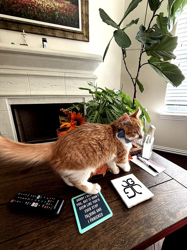 mbeeco image ~ Altpins