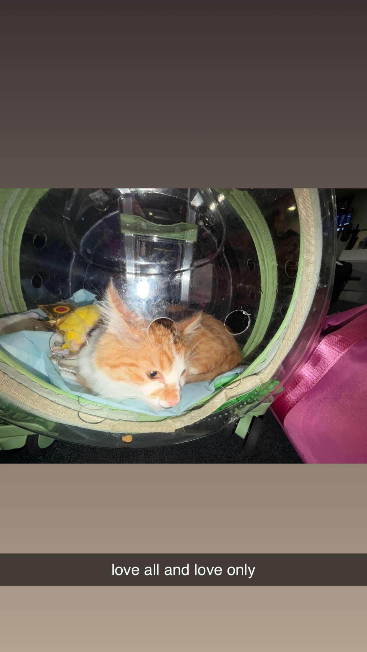 mbeeco snapchat image archive image