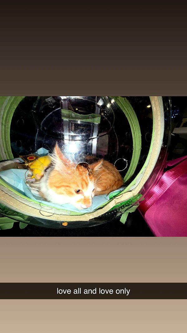 mbeeco image ~ Altpins