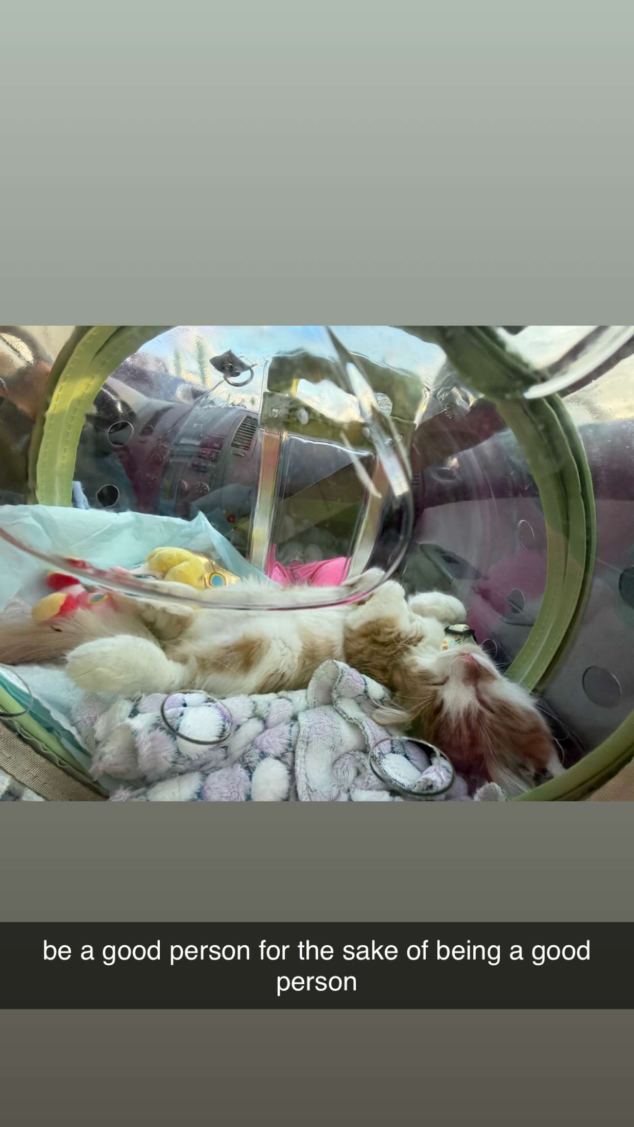 mbeeco snapchat image archive image