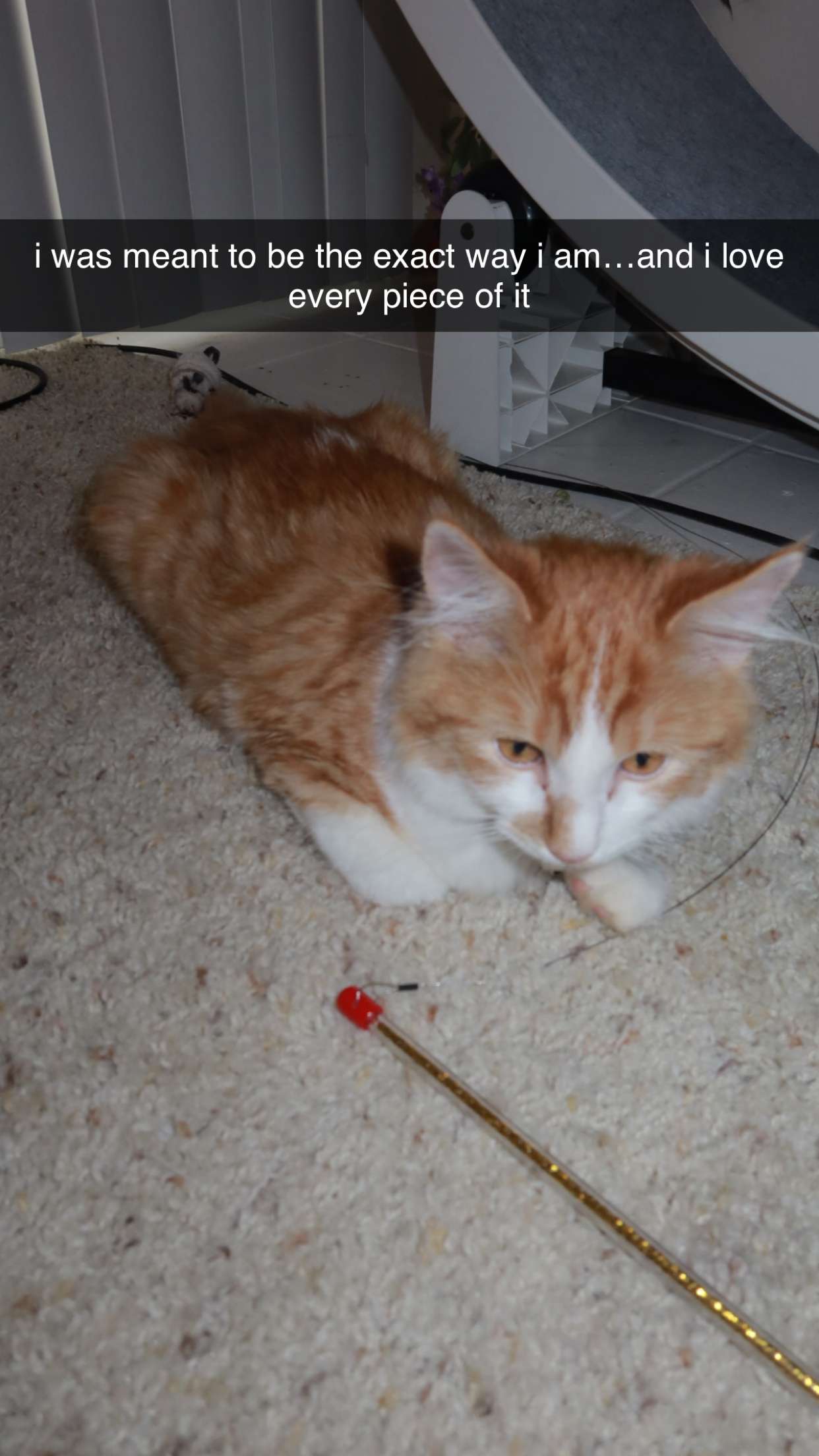 mbeeco snapchat image archive image