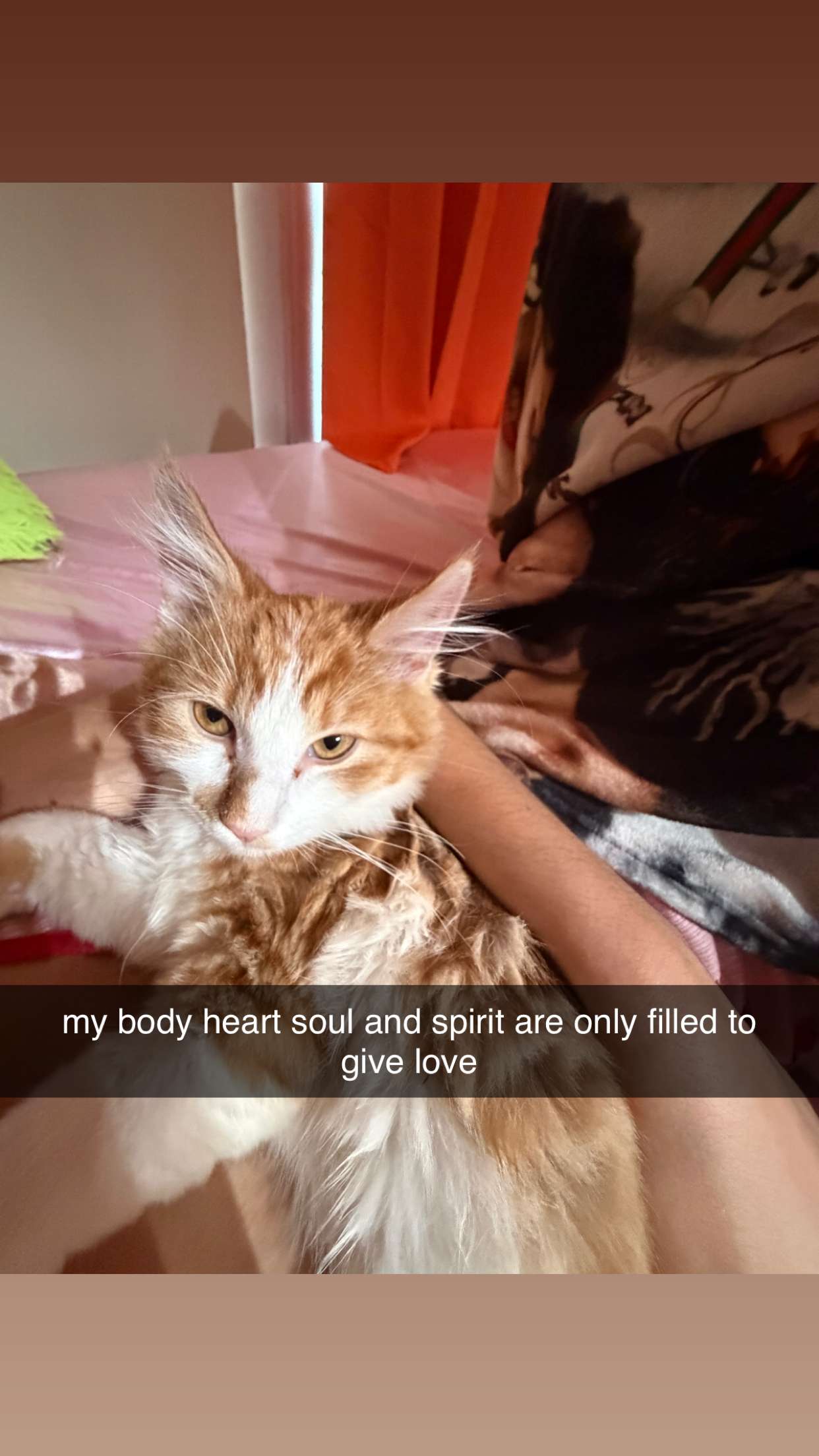 mbeeco snapchat image archive image