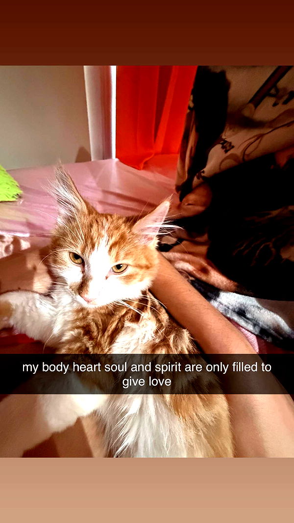 mbeeco image ~ Altpins