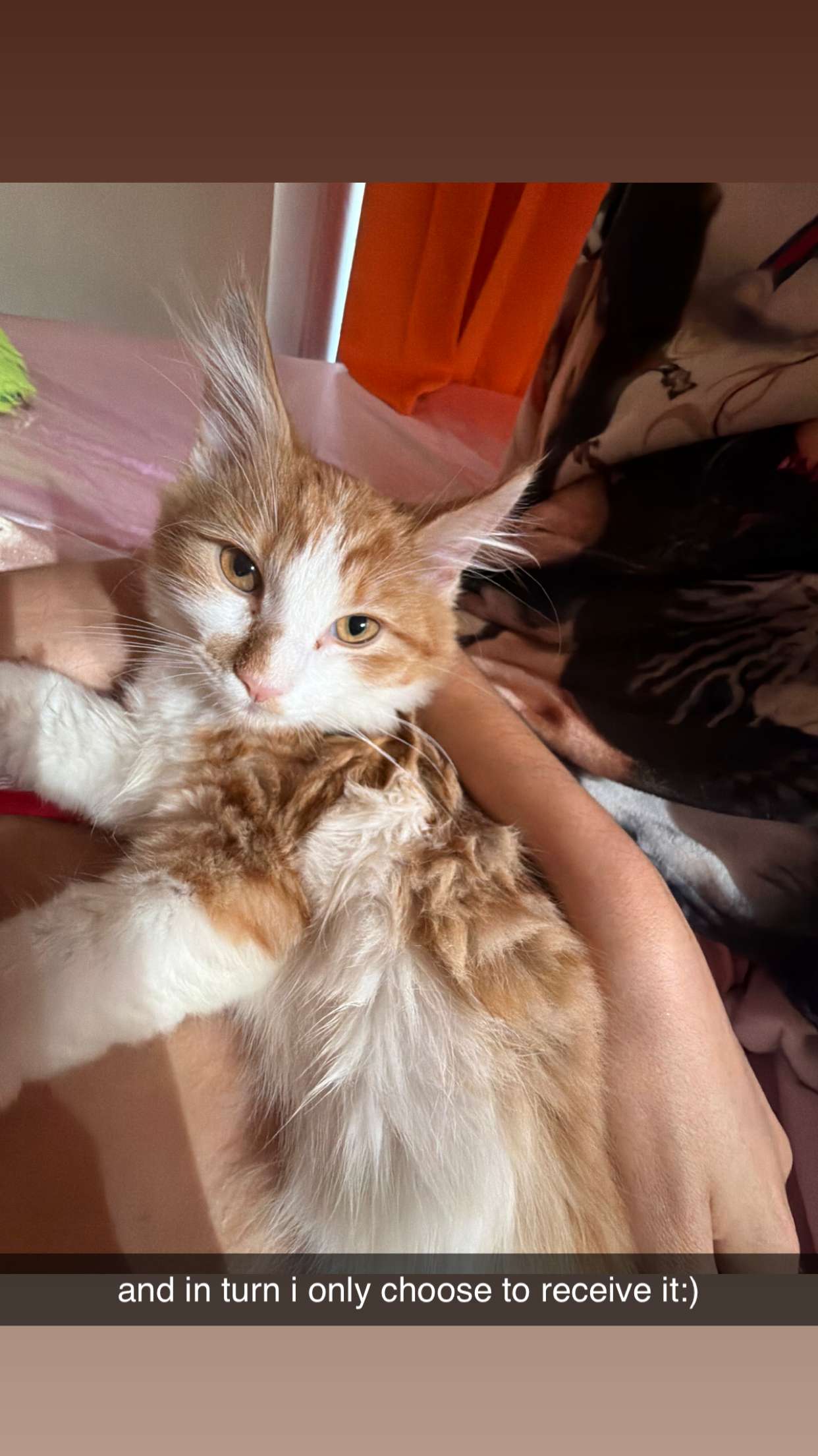 mbeeco snapchat image archive image