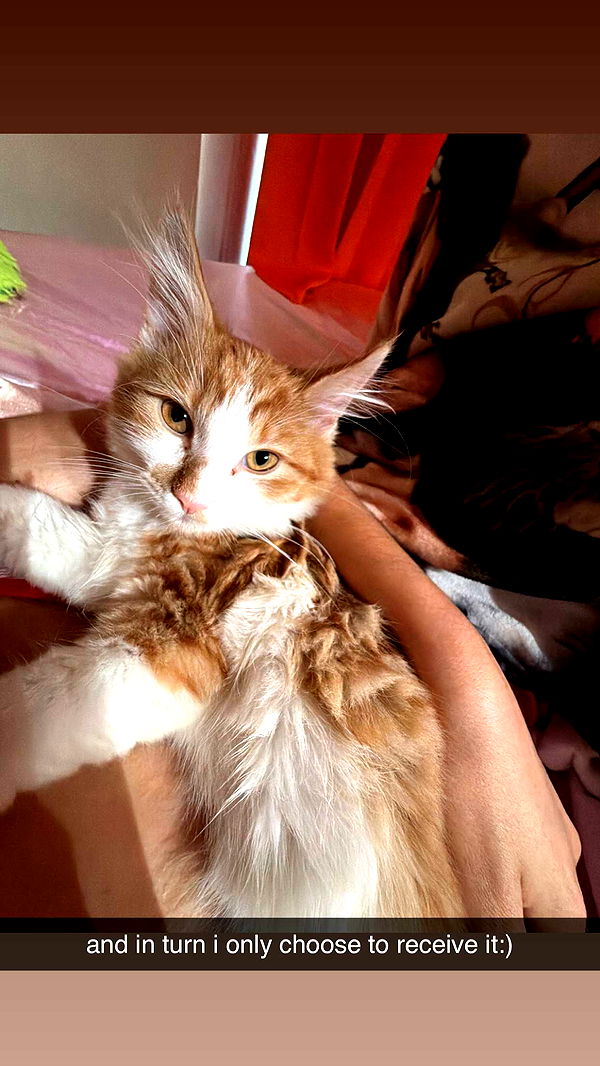 mbeeco image ~ Altpins