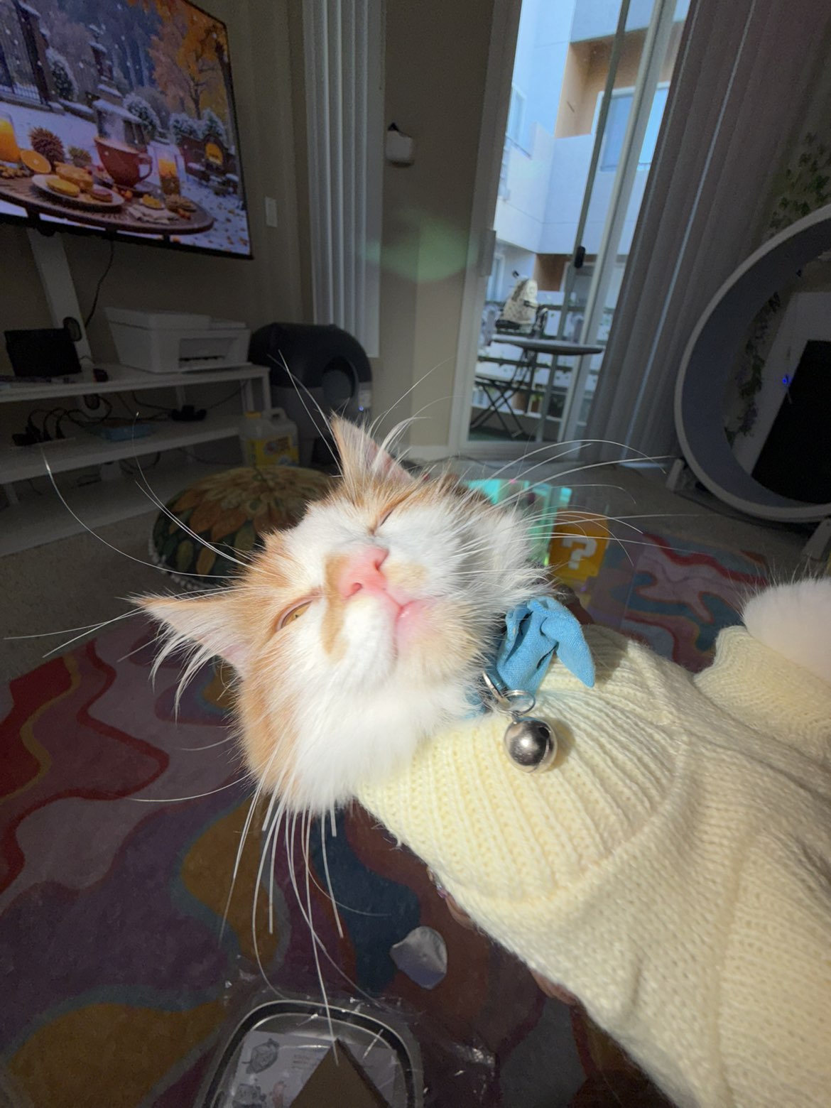 mbeeco snapchat image archive image