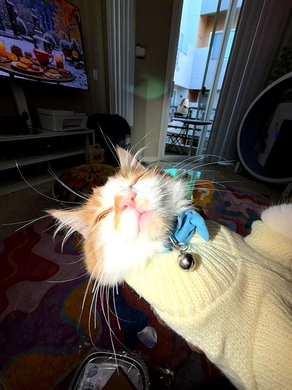 mbeeco image ~ Altpins