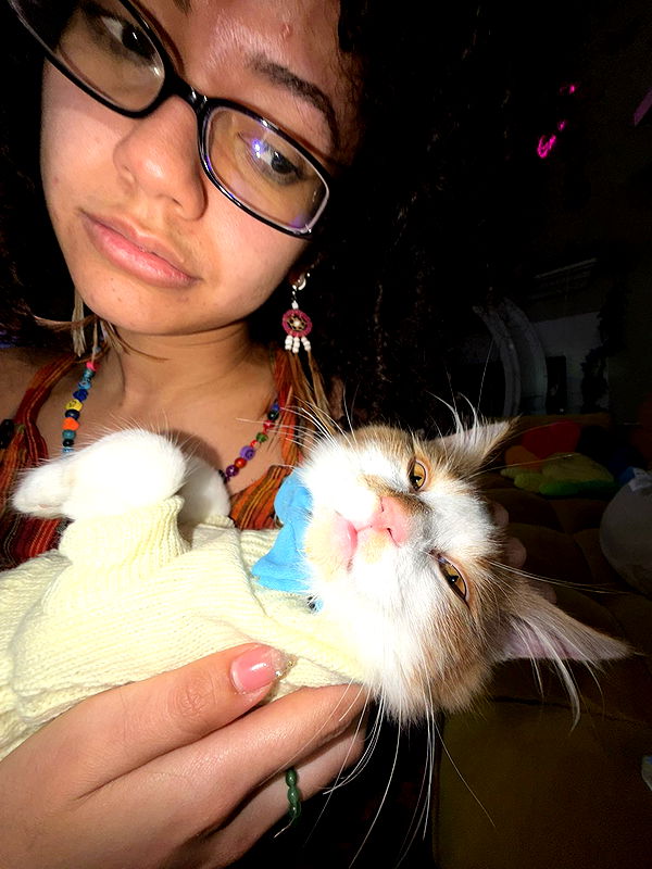 mbeeco image ~ Altpins