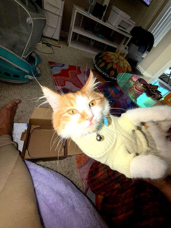 mbeeco image ~ Altpins