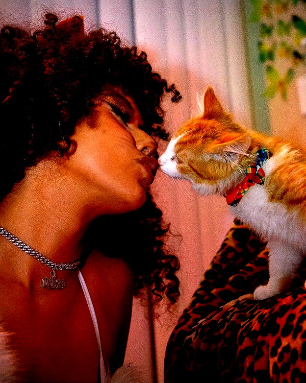 mbeeco image ~ Altpins