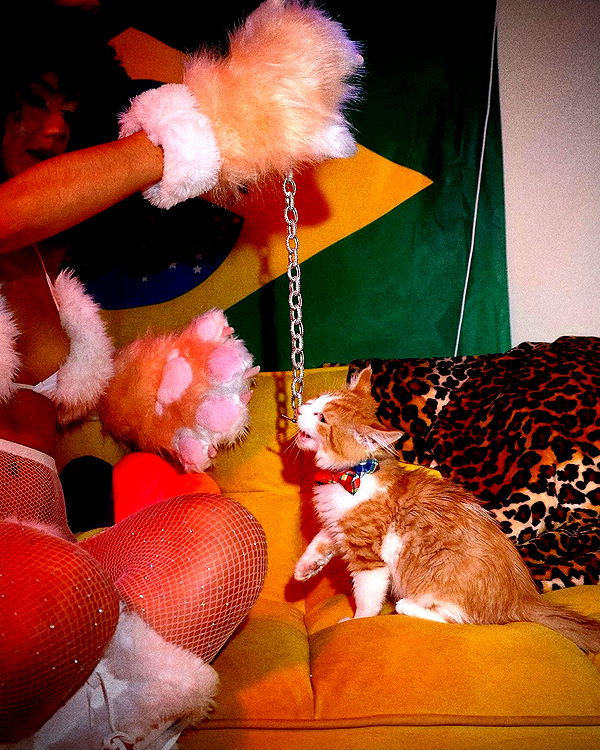 mbeeco image ~ Altpins