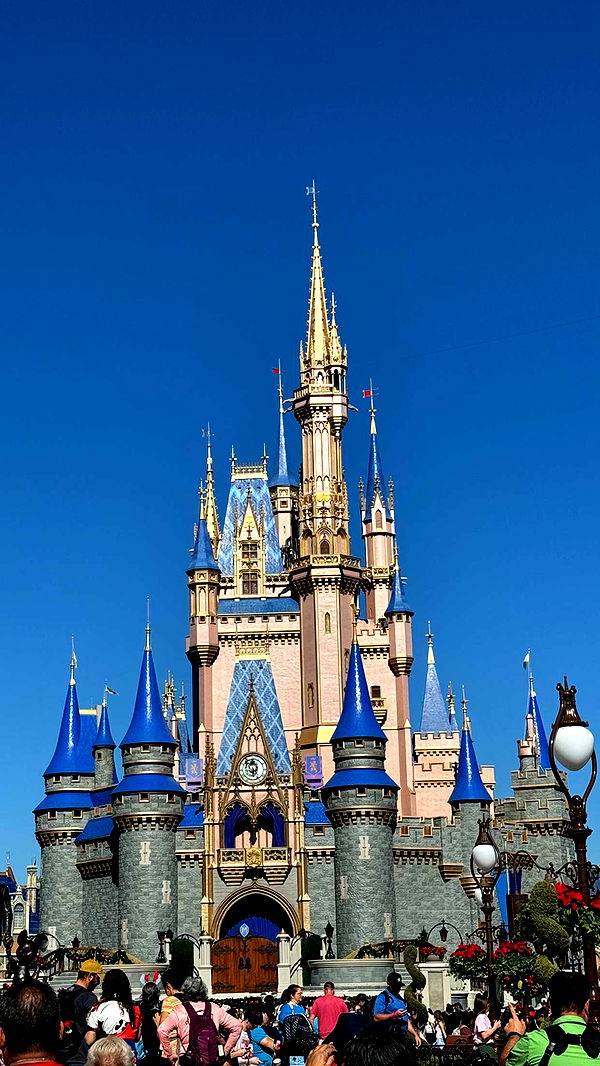 mbuccola97 image ~ Altpins