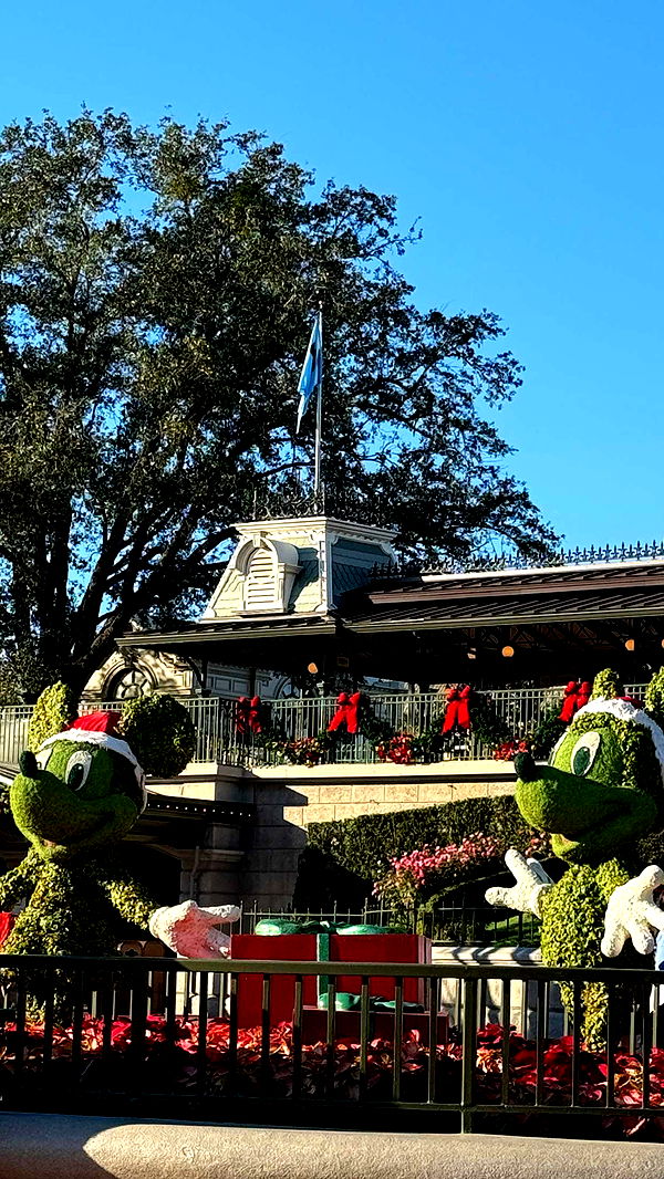 mbuccola97 image ~ Altpins