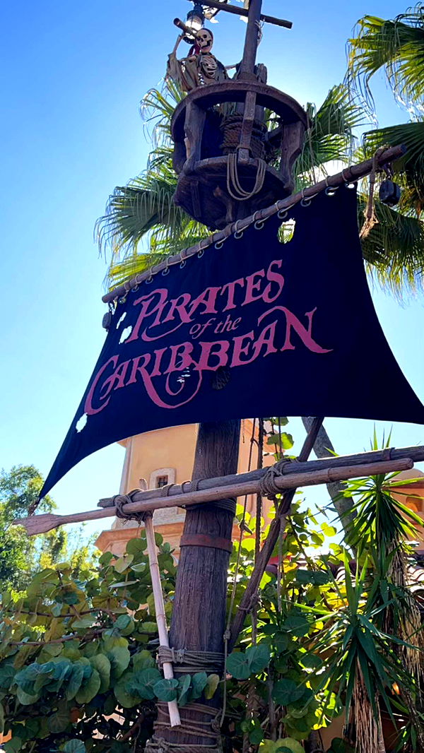 mbuccola97 image ~ Altpins