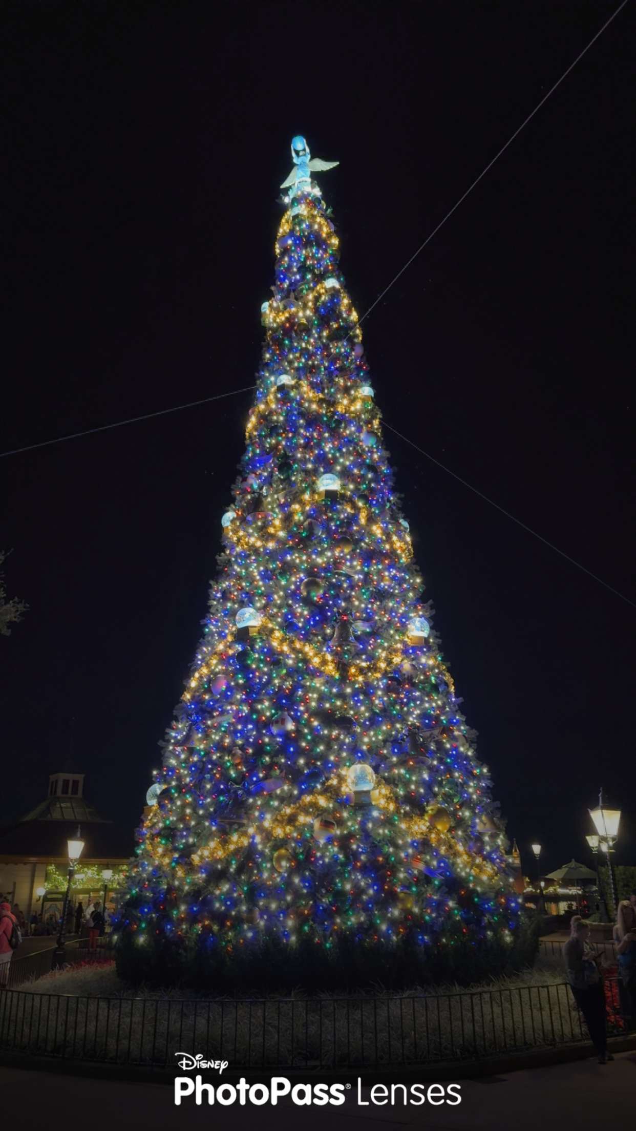 mbuccola97 snapchat image archive image