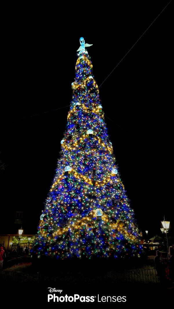 mbuccola97 image ~ Altpins