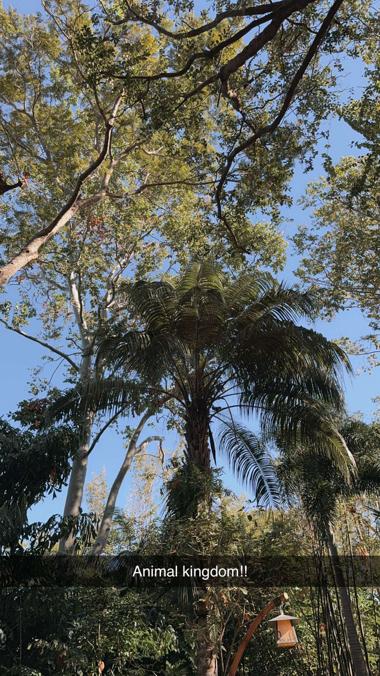 mbuccola97 snapchat image archive image