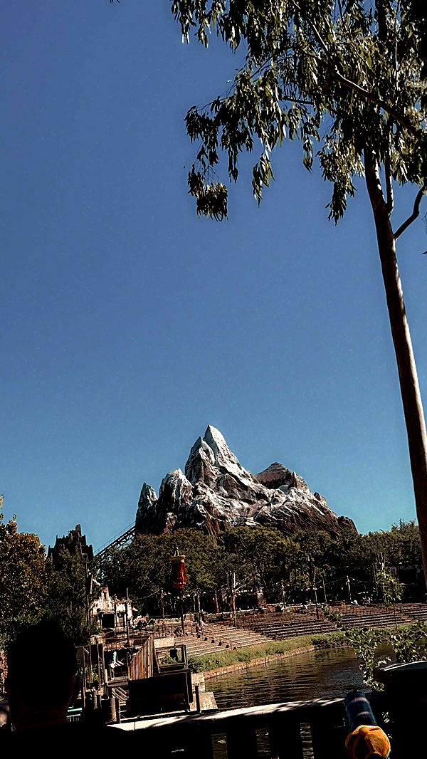 mbuccola97 image ~ Altpins