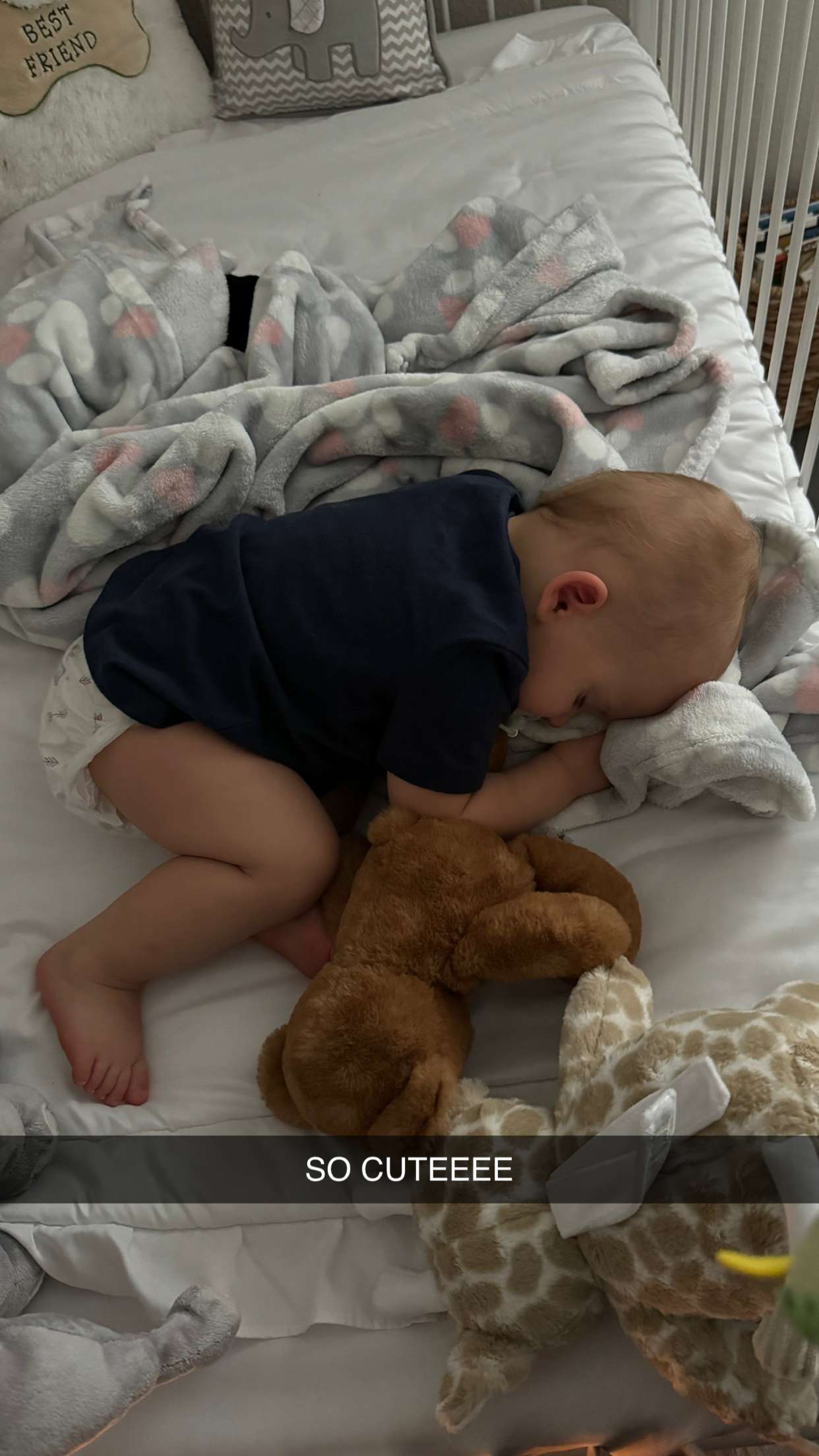 mbuccola97 snapchat image archive image