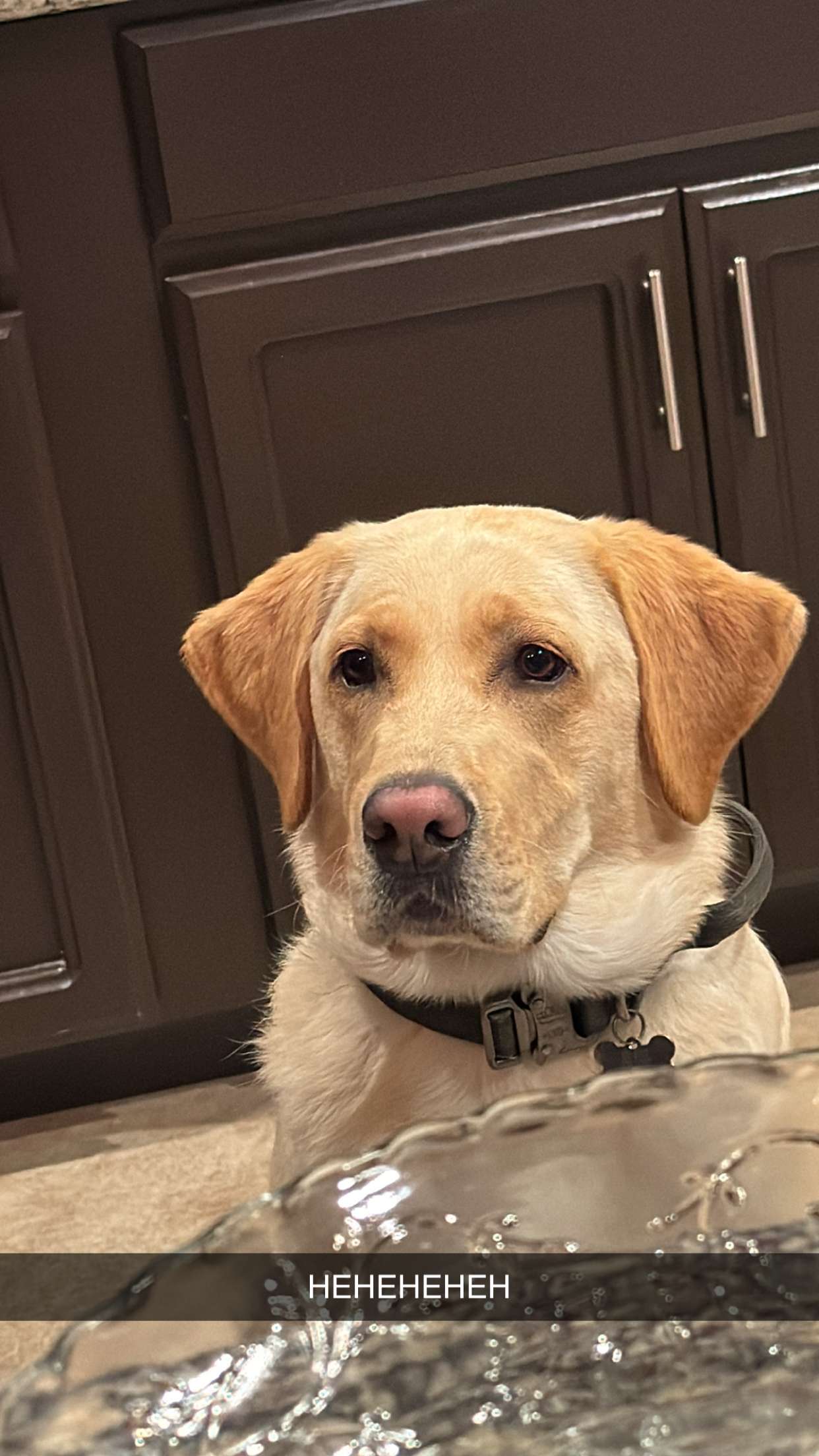 mbuccola97 snapchat image archive image