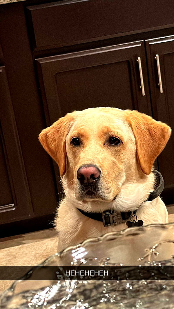 mbuccola97 image ~ Altpins