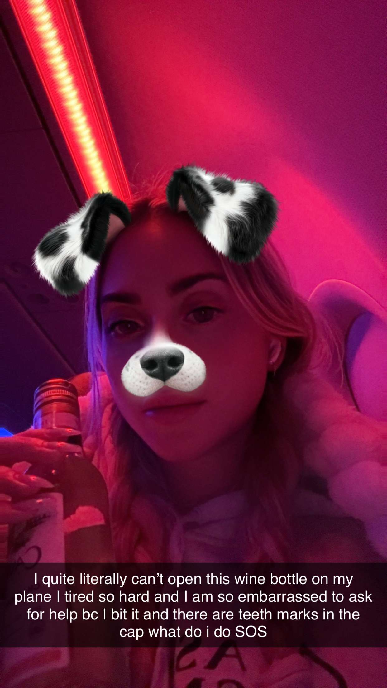 mbuccola97 snapchat image archive image