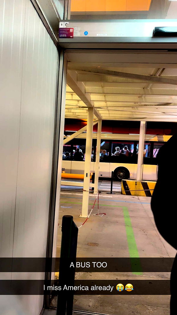 mbuccola97 image ~ Altpins