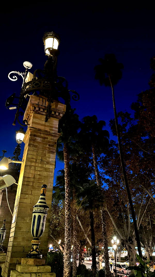 mbuccola97 image ~ Altpins