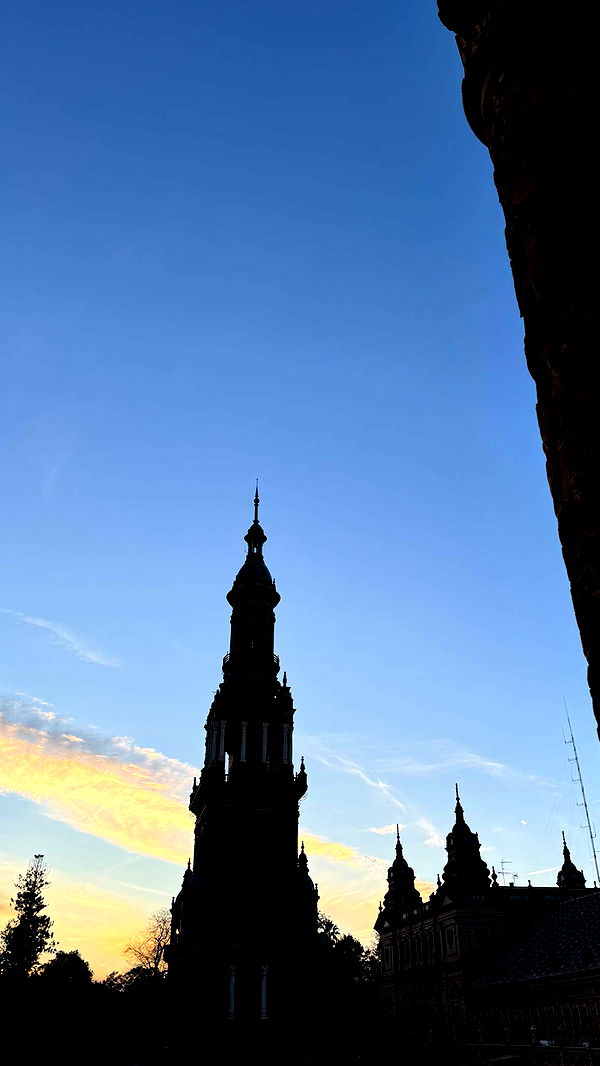 mbuccola97 image ~ Altpins