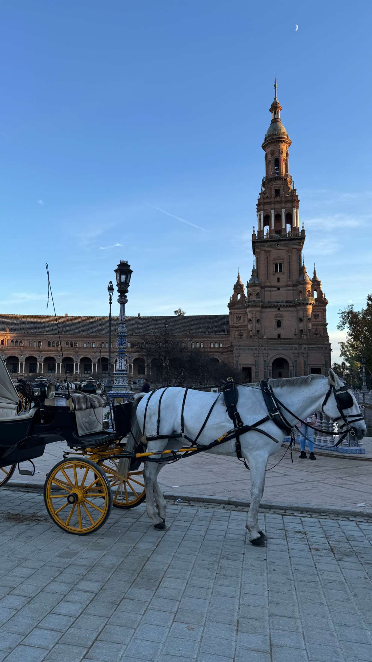 mbuccola97 snapchat image archive image