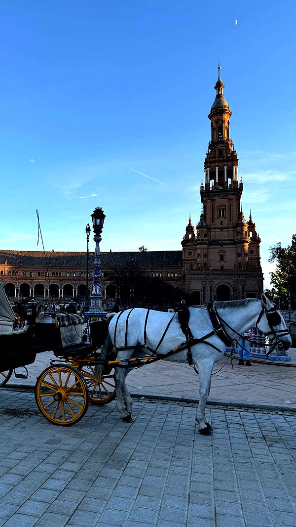 mbuccola97 image ~ Altpins