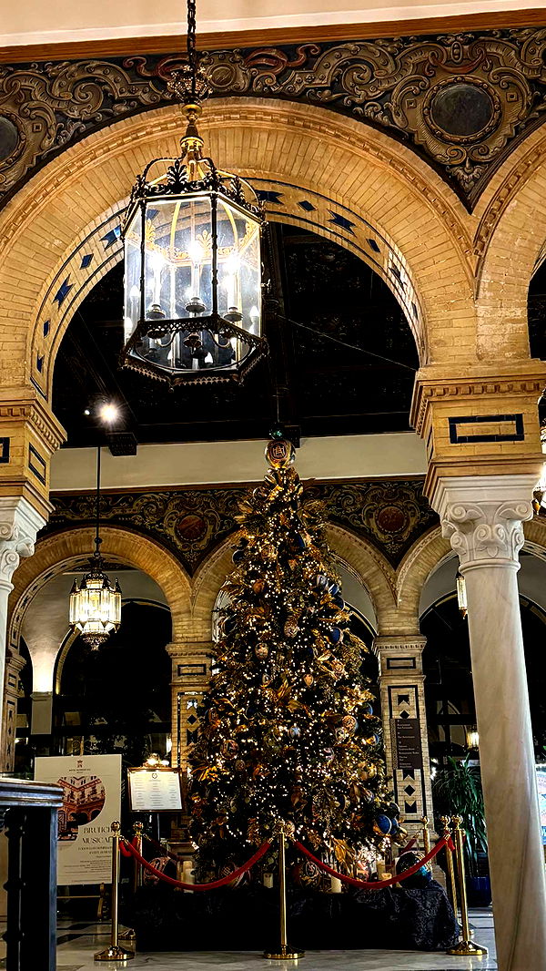 mbuccola97 image ~ Altpins