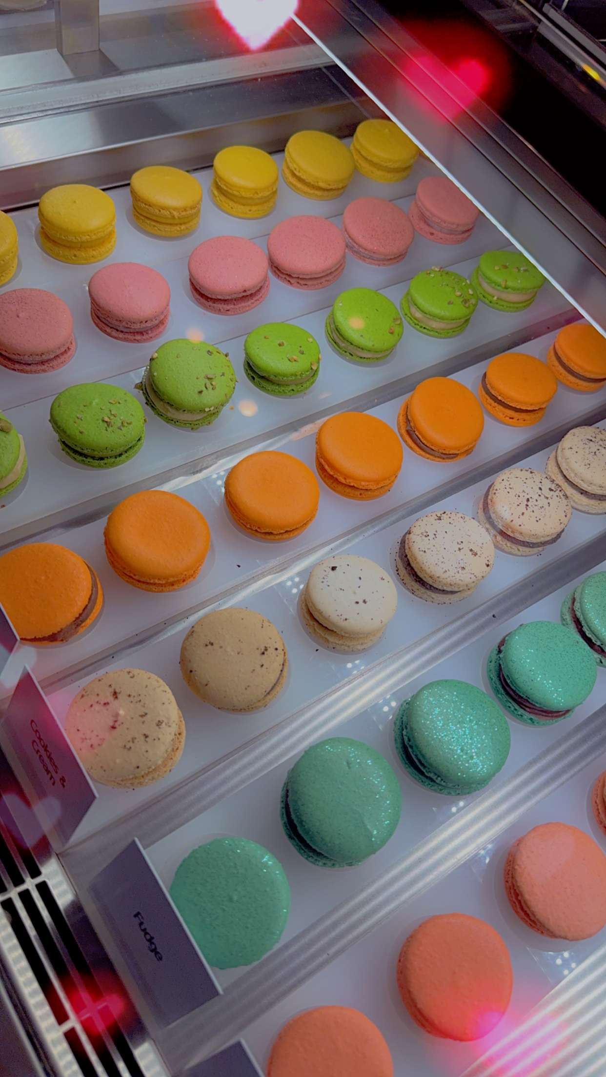 mbuccola97 snapchat image archive image