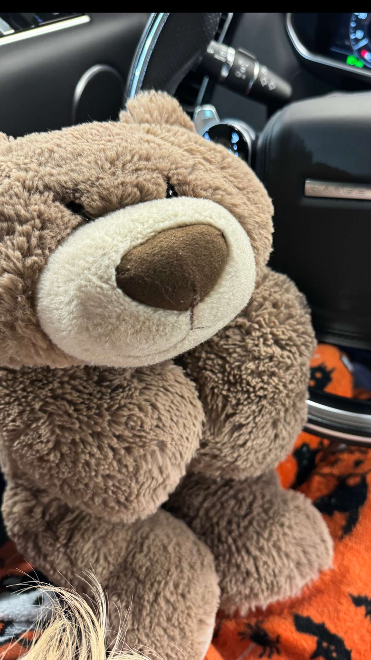 mbuccola97 snapchat image archive image